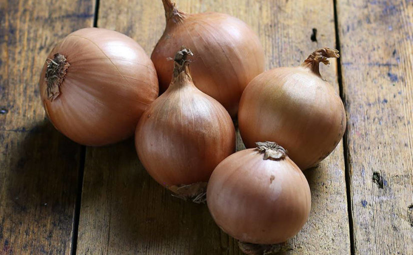 What makes organic onions expensive? (and why you should care)