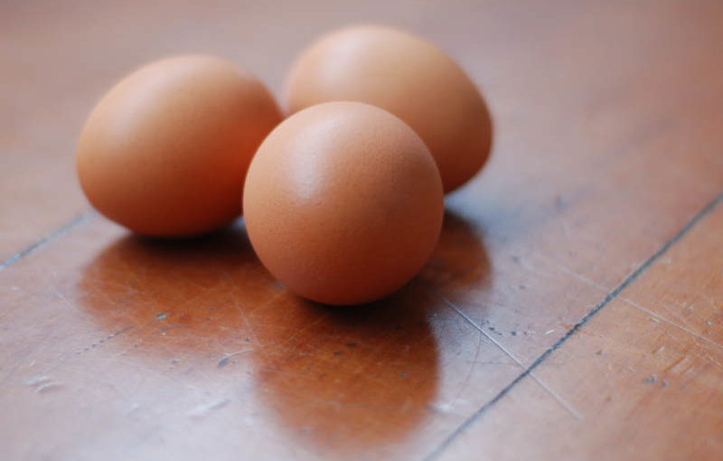 Free Range vs Pasture Raised vs Organic Eggs in NZ