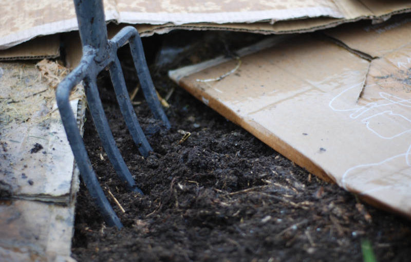 How to grow your own food, Step 2: De-compact the soil