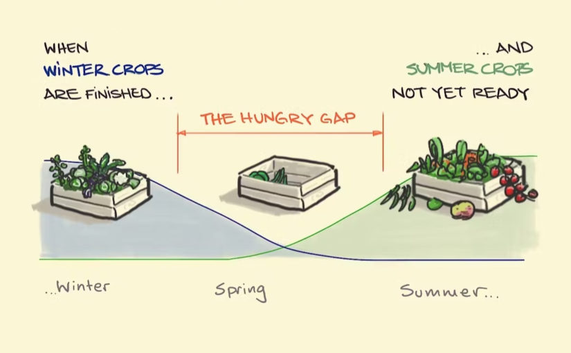 Navigating the Hunger Gap: Your Guide to Local Food in Spring